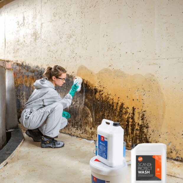 Schimmel-Sanierpaket (Schimmelsanierung)